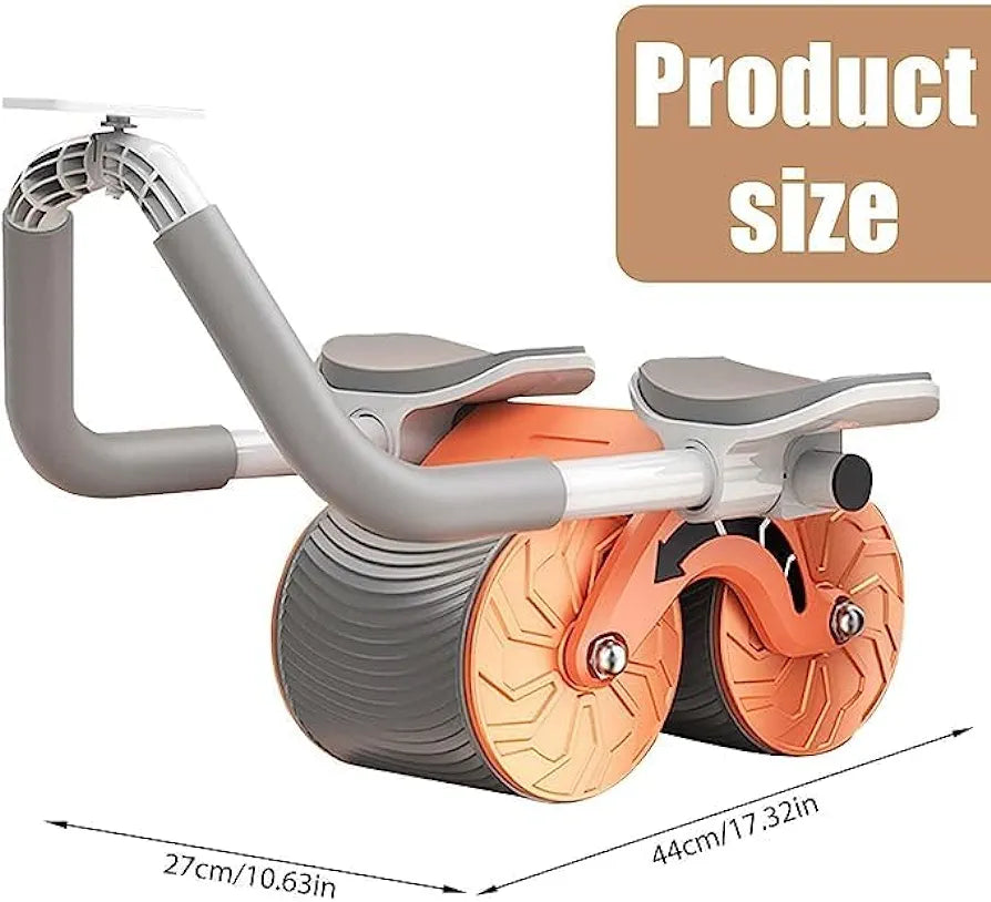 2in1 Wheel Exercise Wheels For Home Gym Fitness - AmazingBaba