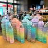 SPEAR Set of 3 Water Bottle with Motivational Time Marker - AmazingBaba