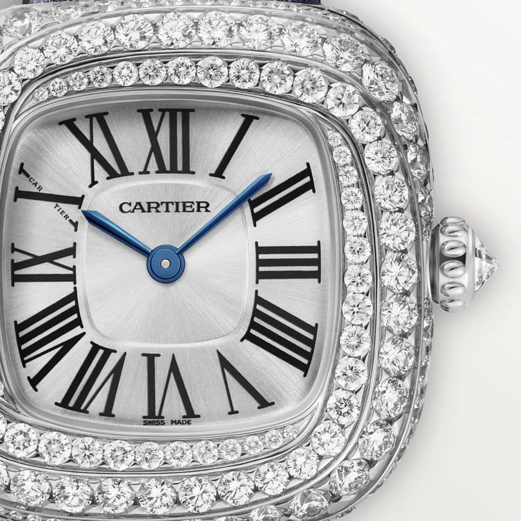 Amazing Swiss Quartz movement watch - AmazingBaba