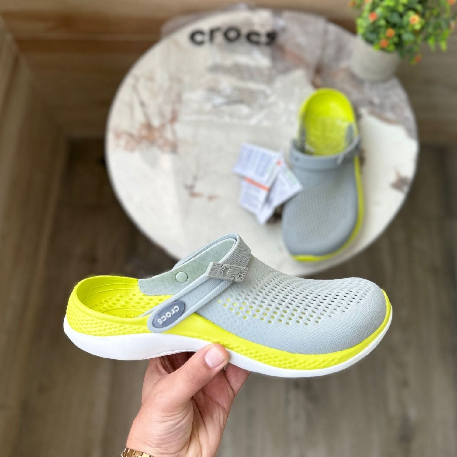 Amazing literid croco